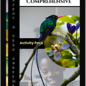 The English Comprehensive: Subject-Verb Agreement Activity Pack