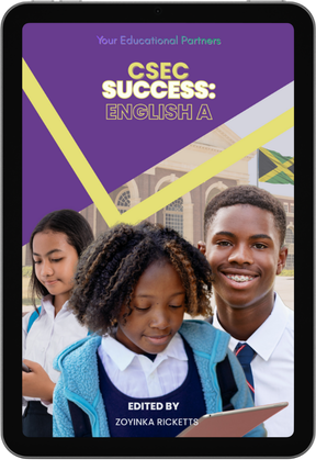 Covers n mock ups (2)