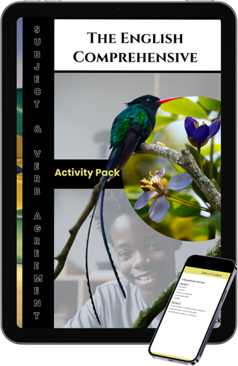 Subject–Verb Agreement Activity Pack cover
